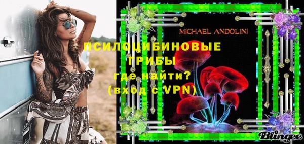 стаф Чекалин