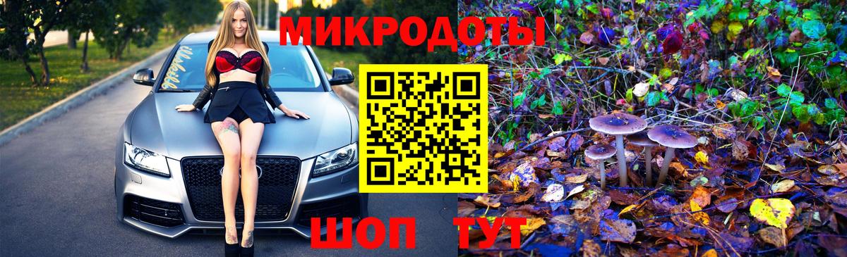 Псилоцибиновые грибы мухоморы  наркота  Губаха 