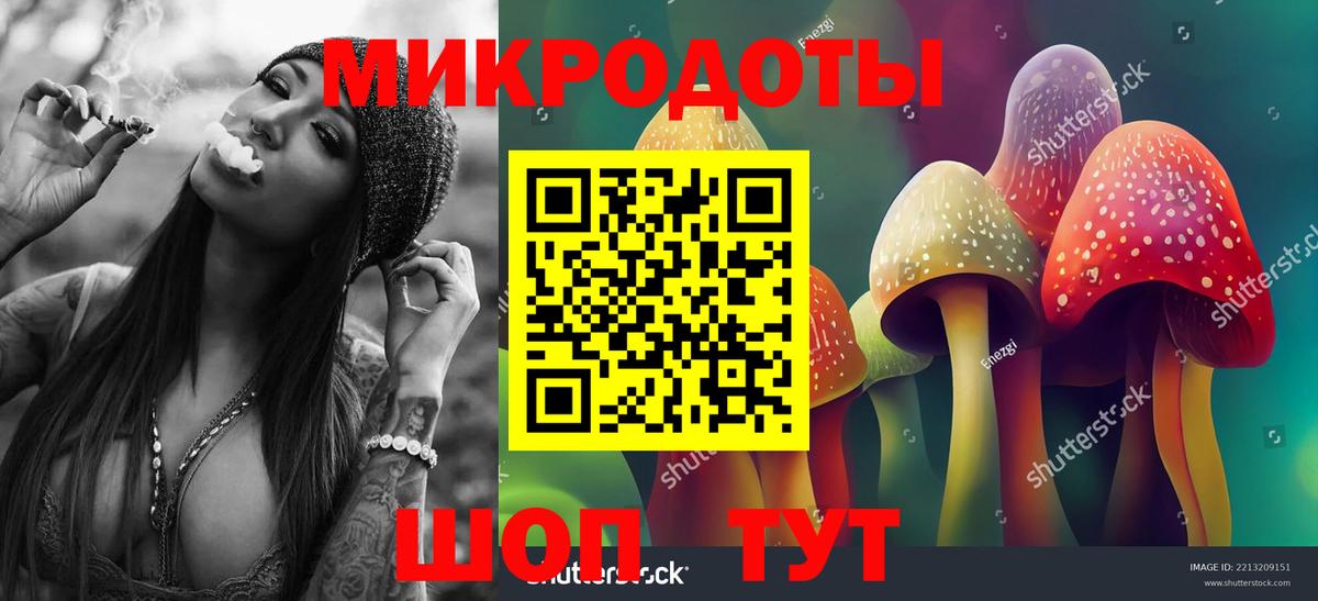 Псилоцибиновые грибы Cubensis Губаха