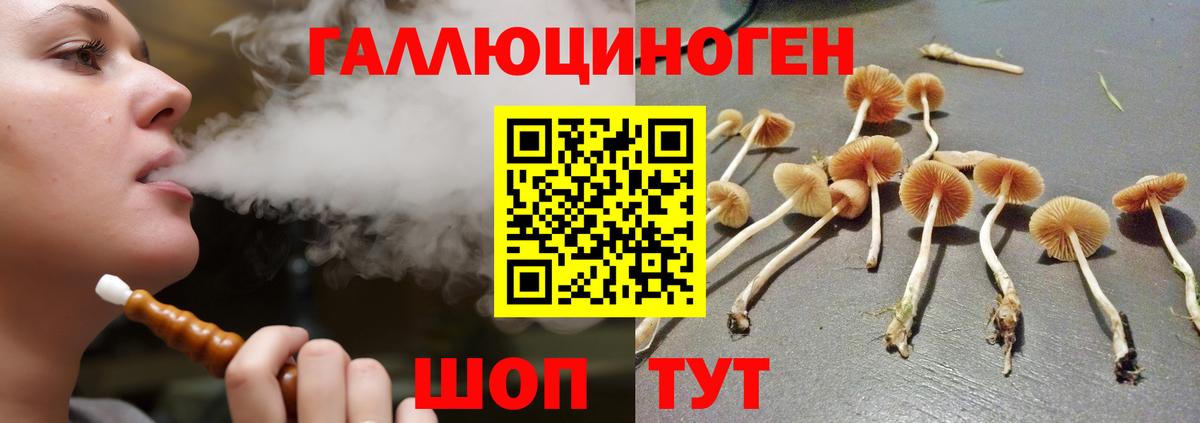 Галлюциногенные грибы мухоморы  Галлюциногенные грибы мицелий  Вход с VPN  Губаха 